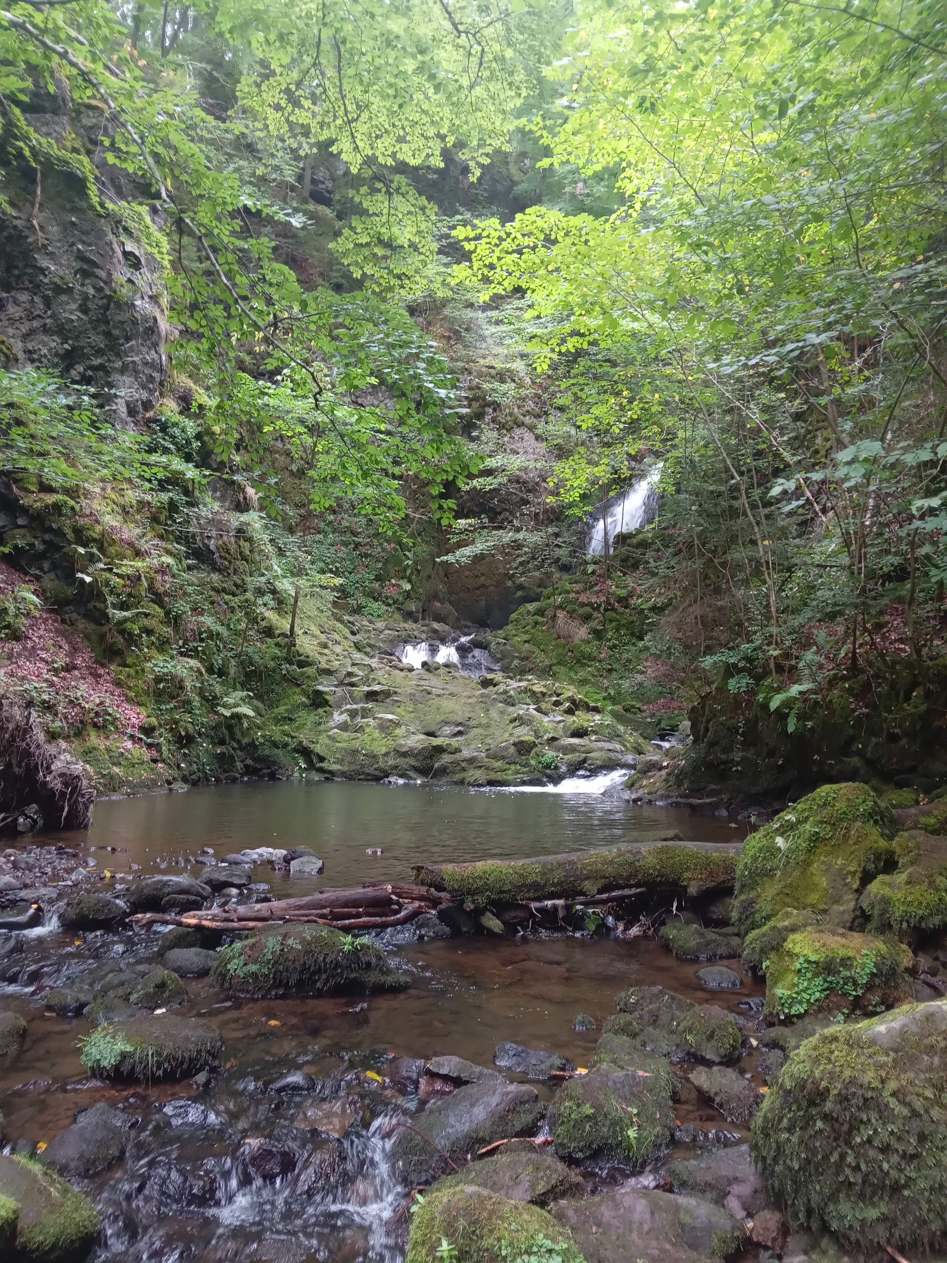 Photo n° 5 de l'avis de Naël.u fait le 20/08/2022 à 16:50