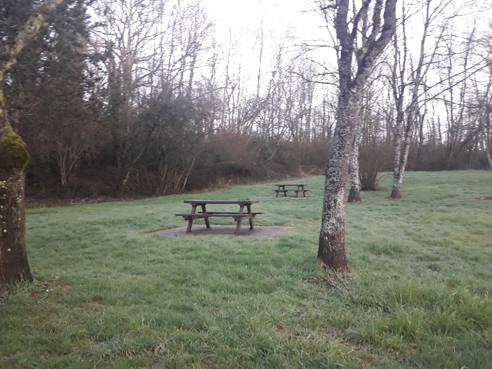 Photo n° 7 de l'avis de El.e fait le 03/03/2020 à 06:20