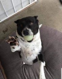 Modesto Wellness And Chiropractic Center - Photo 7 - Car repair in Modesto, CA, Modesto