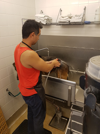 Pet Supply Store «Petco Animal Supplies», reviews and photos, 200 Triangle Shopping Center #230, Longview, WA 98632, USA