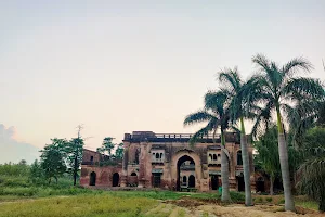 Shahzadpur Fort (Qila) image