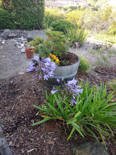 Coffee Shop «Starbucks», reviews and photos, 501 5 Cities Dr, Pismo Beach, CA 93449, USA