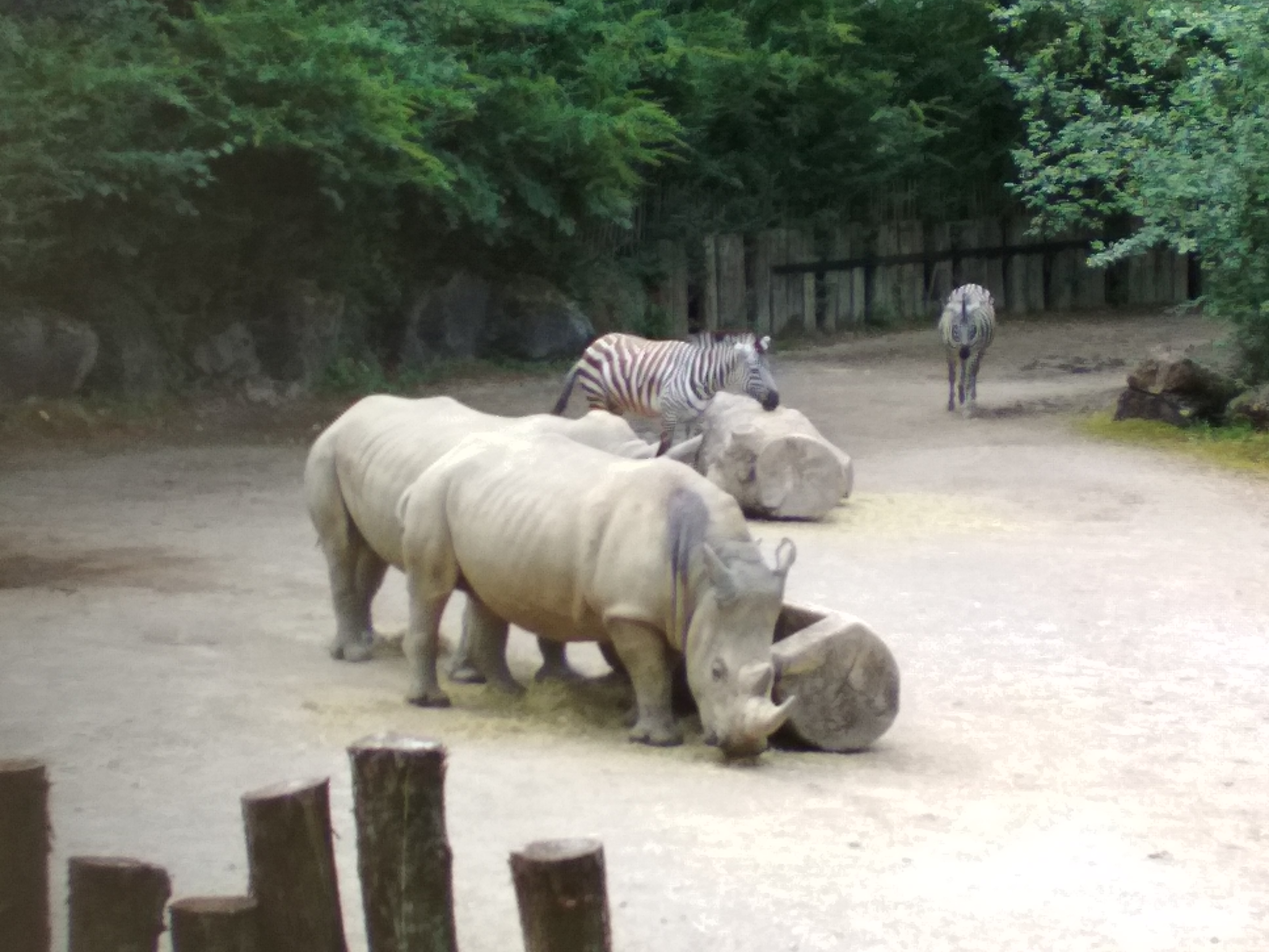 Photo n° 2 de l'avis de Anny.h fait le 03/08/2018 à 13:56