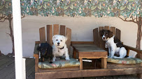 Canine Solutions - Photo 4 - Car repair in Temecula, CA, Hemet