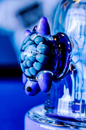 Tobacco Shop «Smokeovapor», reviews and photos, 13530 IL-59 #106, Plainfield, IL 60544, USA