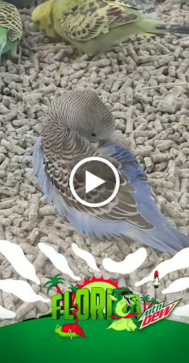 Pet Supply Store «Petco Animal Supplies», reviews and photos, 2565 NE 10th Ct, Homestead, FL 33035, USA