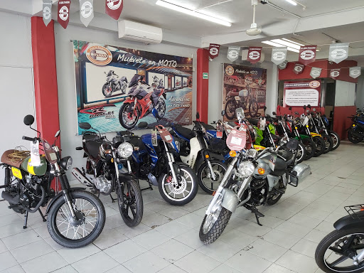 National distributor of Motorcycles - DYNAMO