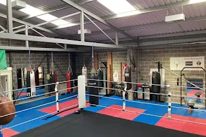 Greens Amateur Boxing Club image