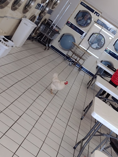 Laundromat «Laundry World», reviews and photos, 6825 Bannister Rd, Kansas City, MO 64134, USA