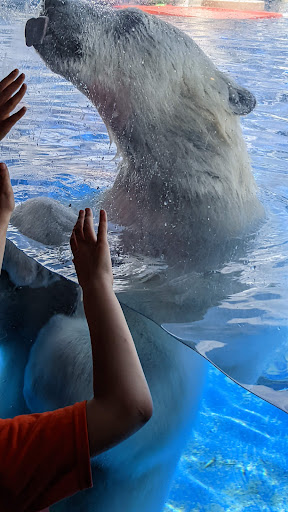 Zoo «Arctic Ring of Life», reviews and photos, 8450 W 10 Mile Rd, Royal Oak, MI 48067, USA