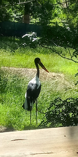 Zoo «The Maryland Zoo in Baltimore», reviews and photos, 1 Safari Place, Baltimore, MD 21217, USA