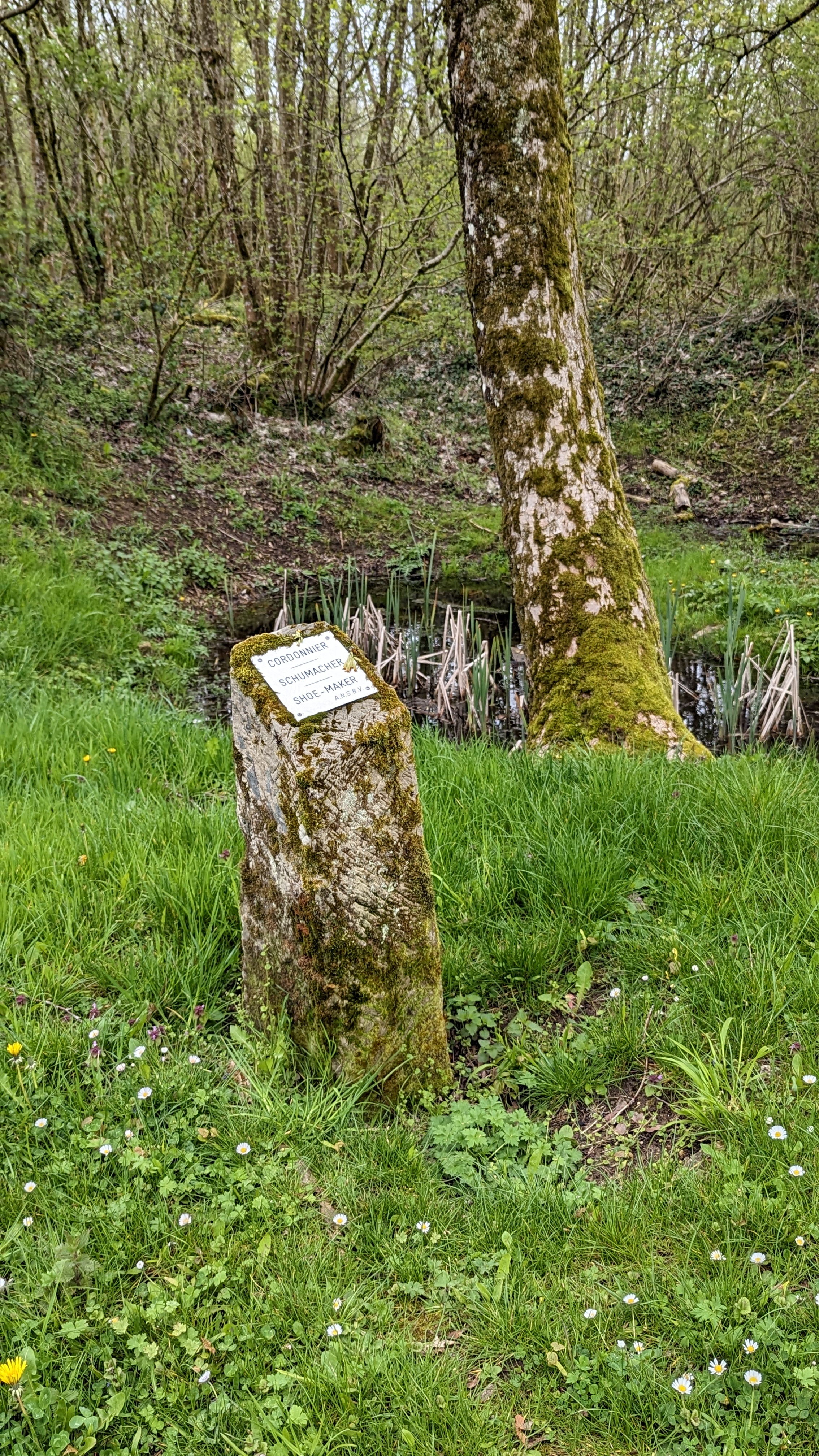 Photo n° 2 de l'avis de Jörg.e fait le 08/05/2023 à 16:19