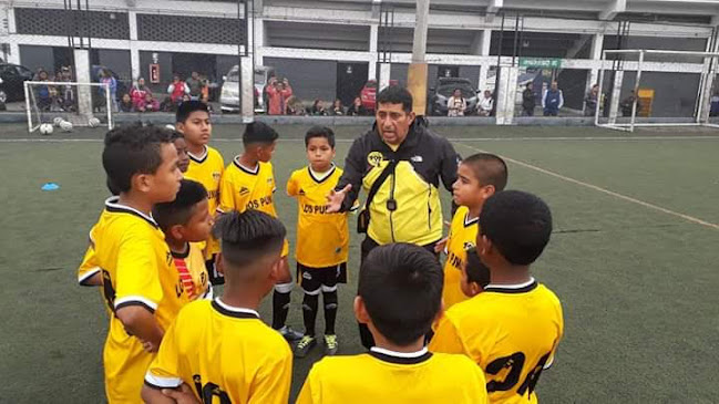 Opiniones de Academia de Fútbol "Los Pumas" de Pisco en Pisco - Campo de fútbol