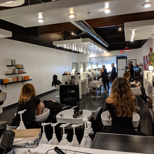 David Frank Salon