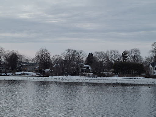 Plant Nursery «Argyle Flower & Garden Ltd», reviews and photos, 185 W Main St, Babylon, NY 11702, USA