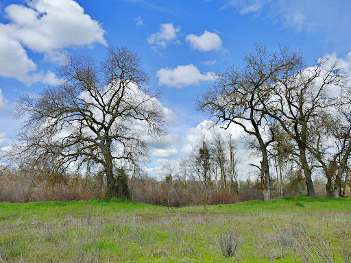 San Joaquin River Parkway and Conservation Trust, Inc.