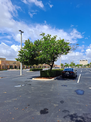 Discount Store «Dollar General», reviews and photos, 1620 E Hallandale Beach Blvd, Hallandale Beach, FL 33009, USA