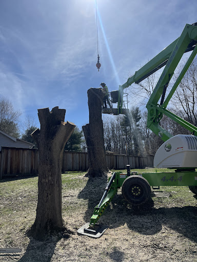 Lamanna Tree Service