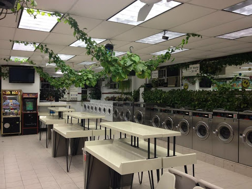 Laundry Service «Y & S Laundromat & Dry Cleaning», reviews and photos, 259 Westport Ave, Norwalk, CT 06851, USA