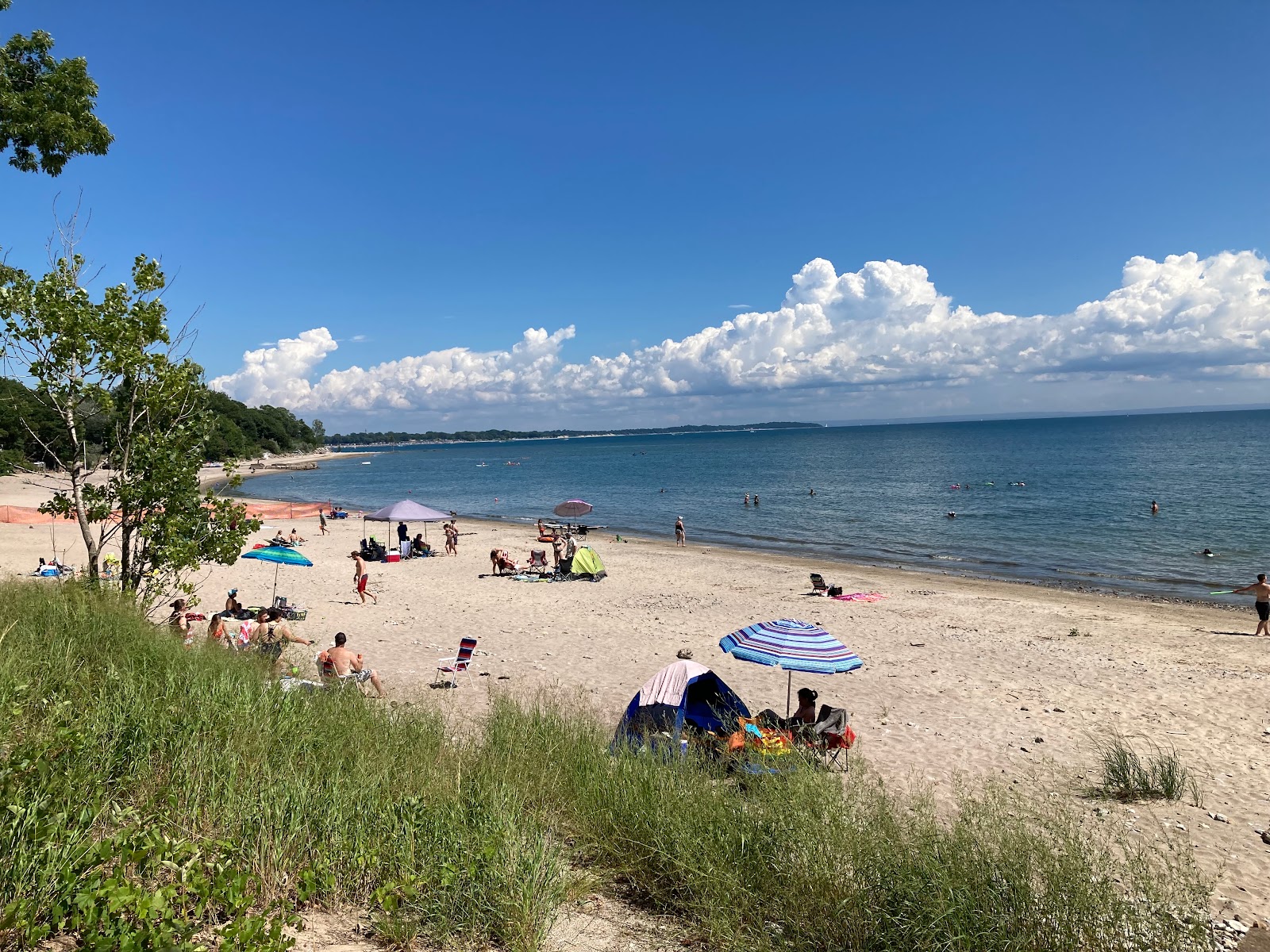 Foto van Cedar Bay Beach met recht en lang