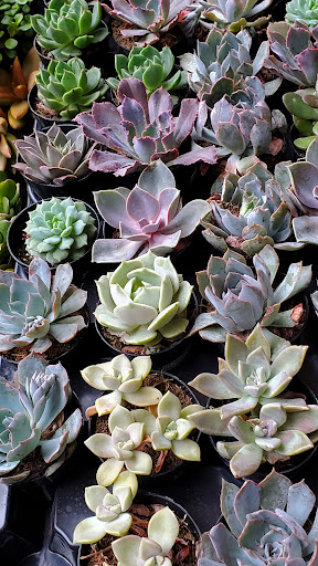 Home Improvement Store «The Home Depot», reviews and photos, 1625 S Mountain Ave, Monrovia, CA 91016, USA