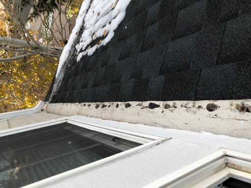 Roofing Contractor «Peak View Roofing Co», reviews and photos, 4605 Town Center Dr, Colorado Springs, CO 80916, USA