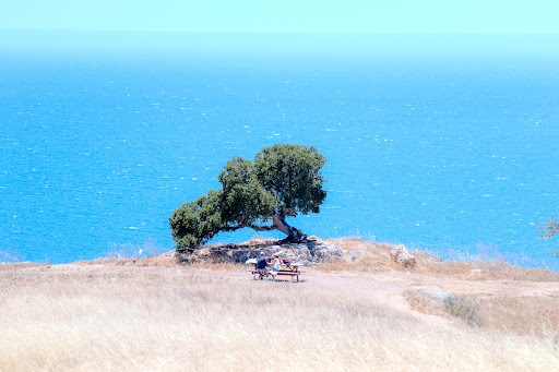 Nature Preserve «Pismo Preserve», reviews and photos, Mattie Rd, Pismo Beach, CA 93449, USA