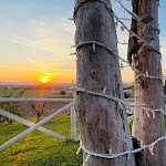 Photo n°4 de l'avis de Simone.n fait le 29/08/2023 à 19:17 sur le  Country House Villa Clelia à Sirolo