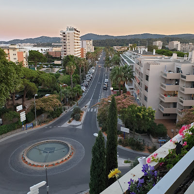 Agence Les Palmiers à Le Lavandou