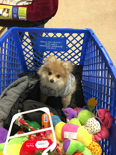 Pet Supply Store «PetSmart», reviews and photos, 2028 Miamisburg Centerville Rd, Dayton, OH 45459, USA