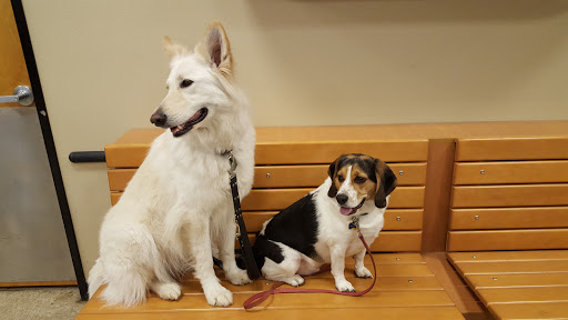 Pet Supply Store «PetSmart», reviews and photos, 47142 Michigan Ave, Canton, MI 48188, USA