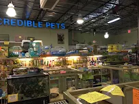 Incredible Pets Inc - Car repair in Melbourne, FL, Palm Bay - Rated 4.4/5