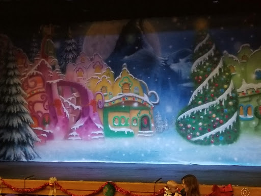 Performing Arts Theater «Cutting Hall Performing Arts Center», reviews and photos, 150 E Wood St, Palatine, IL 60067, USA