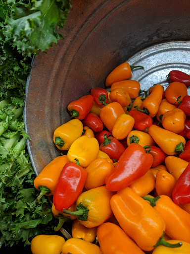 Grocery Store «New Seasons Market Mountain Park», reviews and photos, 3 Monroe Pkwy, Lake Oswego, OR 97035, USA