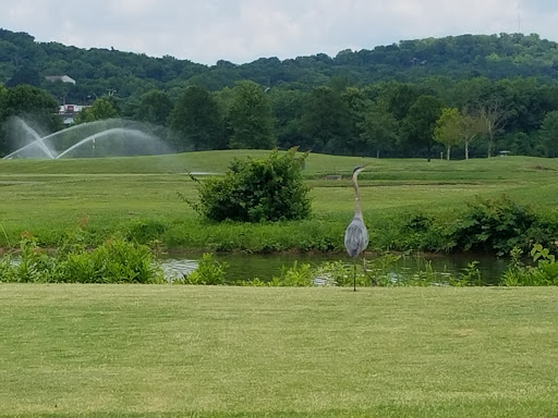 Public Golf Course «Ted Rhodes Golf Course», reviews and photos, 1901 Ed Temple Blvd, Nashville, TN 37208, USA