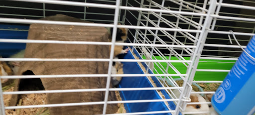 Animal Feed Store «All Pet Feed & Tack», reviews and photos, 25598 E Baseline St, San Bernardino, CA 92410, USA