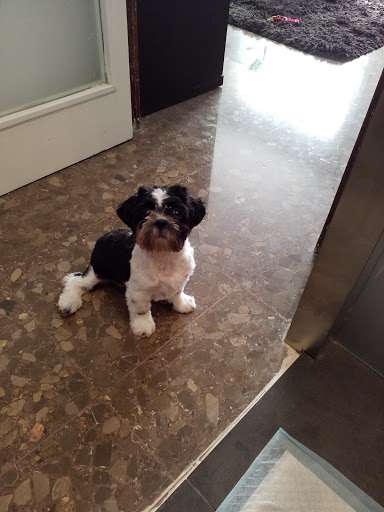 QUERALTCAN en Verdú, Lleida