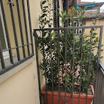 Photo n°2 de l'avis de Magda.o fait le 26/04/2023 à 09:00 sur le  Hotel Liberty 1904 à Bologna