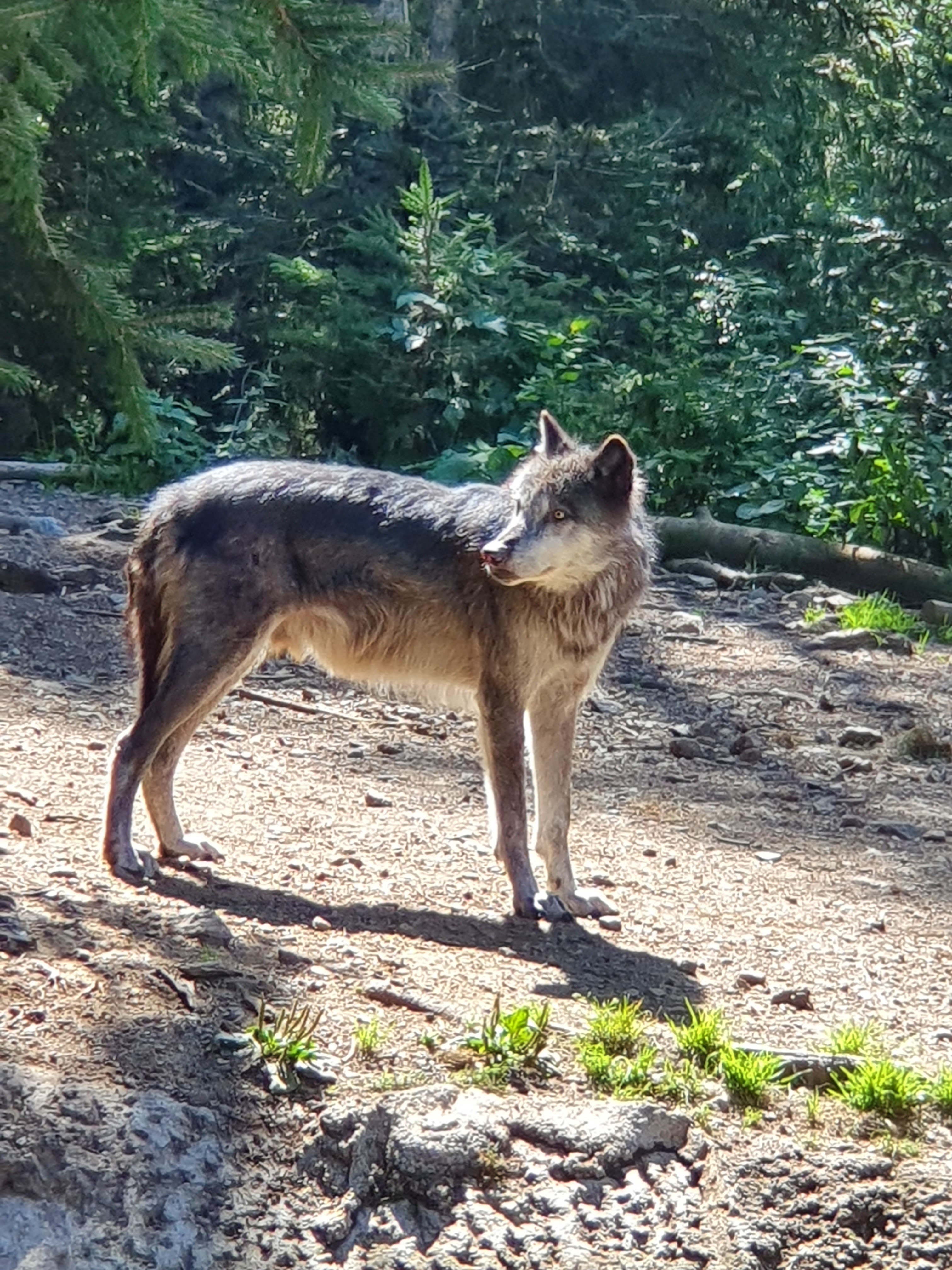 Photo n° 1 de l'avis de Pierre. fait le 21/08/2020 à 13:12