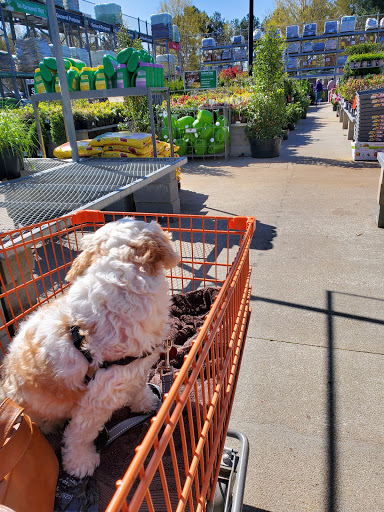 Home Improvement Store «The Home Depot», reviews and photos, 1000 Vision Dr, Apex, NC 27523, USA