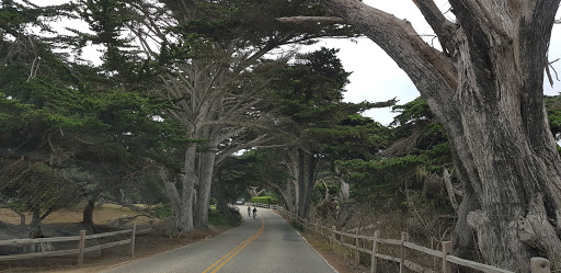 Golf Course «Poppy Hills Golf Course», reviews and photos, 3200 Lopez Rd, Pebble Beach, CA 93953, USA