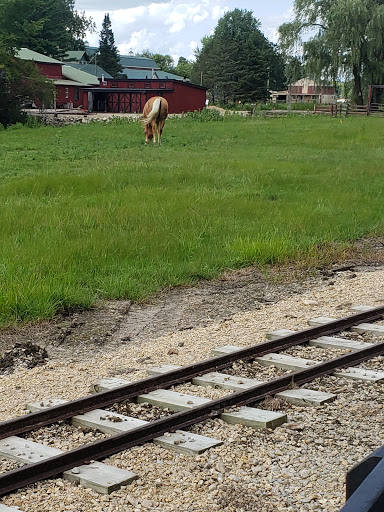 Amusement Park «Little Amerricka Amusement Park», reviews and photos, 700 E Main St, Marshall, WI 53559, USA