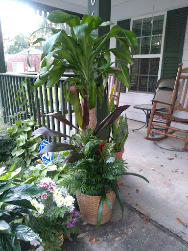 Florist «Beautiful Flowers», reviews and photos, 2902 N Ashley St, Valdosta, GA 31601, USA