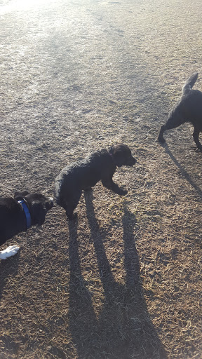 Park «Teegarden Park», reviews and photos, 440 Old State Rd, Berwyn, PA 19312, USA