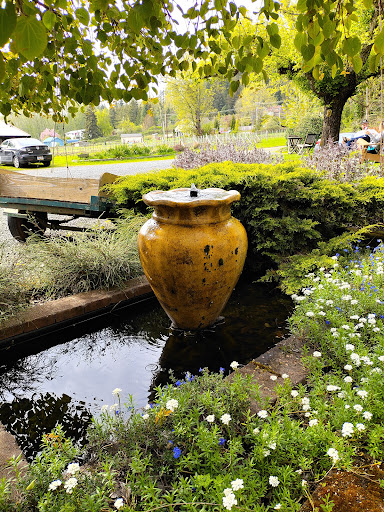 Vineyard «Olalla Vineyard & Winery», reviews and photos, 13176 Olalla Valley Rd SE, Olalla, WA 98359, USA