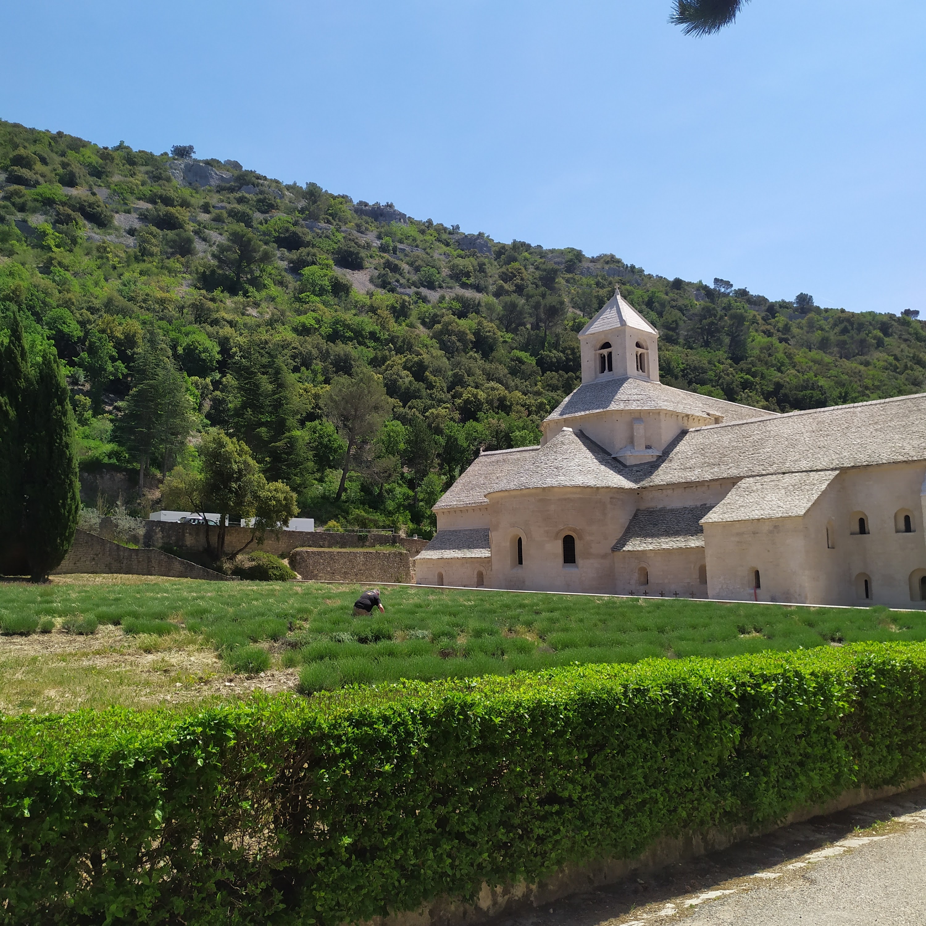Photo n° 1 de l'avis de Irina.a fait le 18/05/2022 à 21:48