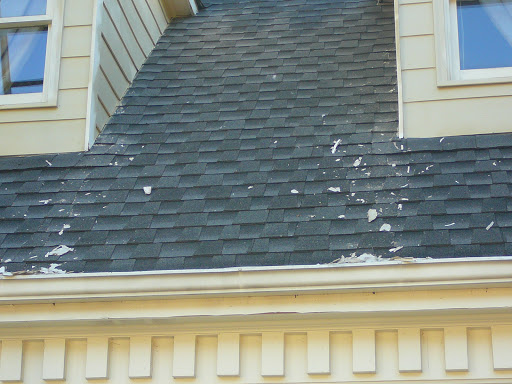 Painter «The Painting Company», reviews and photos, 210 W Crossville Rd, Roswell, GA 30075, USA