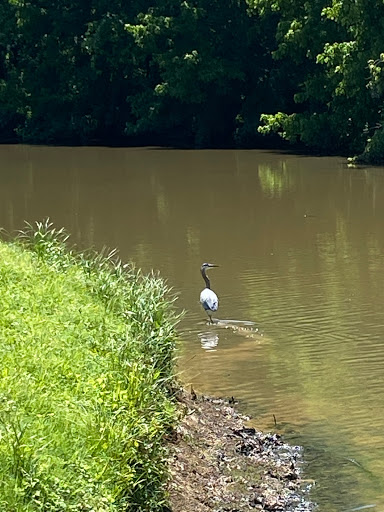 Golf Course «Arrowhead Golf Course Maintenance», reviews and photos, 183 Arrowhead Club Dr, Cadiz, KY 42211, USA