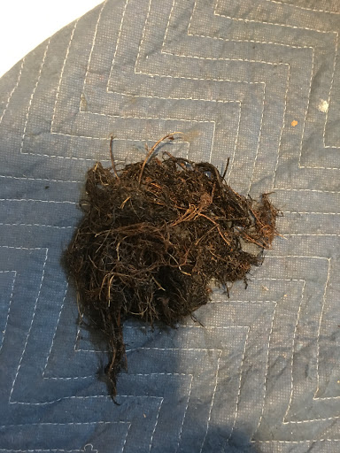 Plumber «RotoKing», reviews and photos, 163 Skinner Dr, New Britain, CT 06053, USA