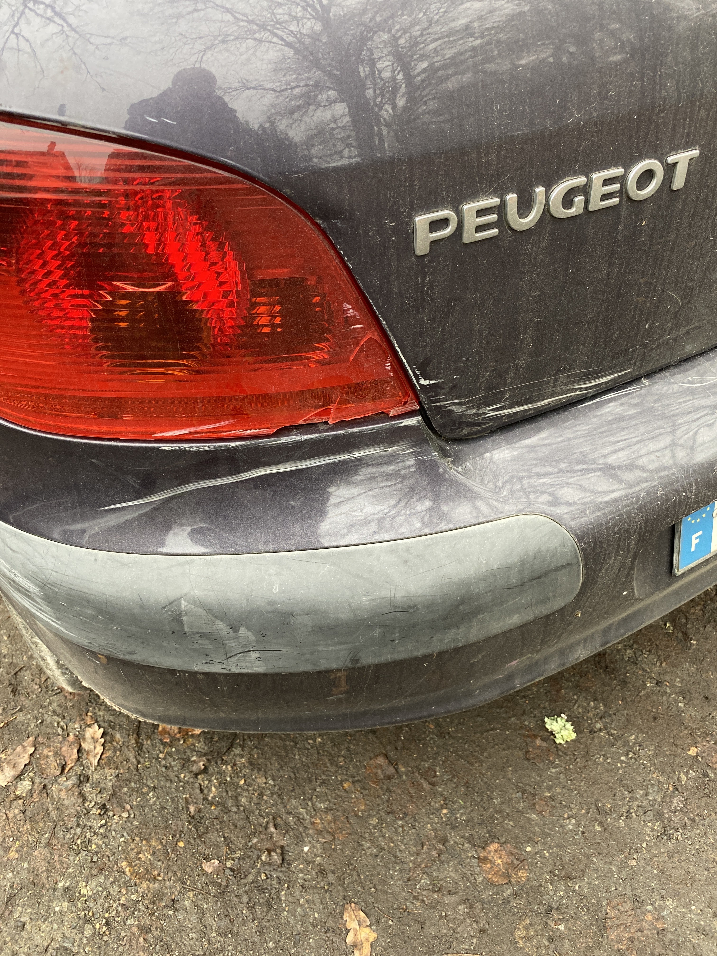 Photo n° 1 de l'avis de amadeu.e fait le 19/12/2023 à 11:09
